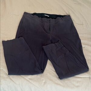 Lane Bryant Men's Dark Gray Chinos